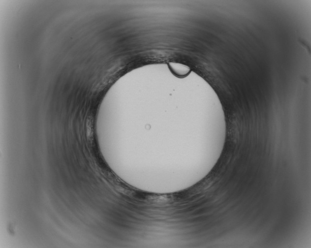 X0000103930131200809191133
