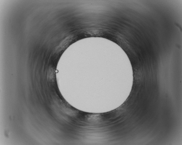 X0000103930132200809191133