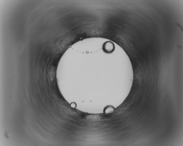 X0000103930133200809191133