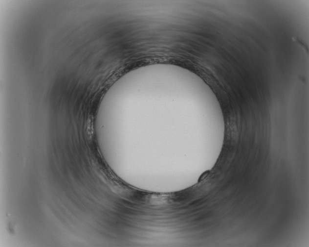 X0000103930134200809191133