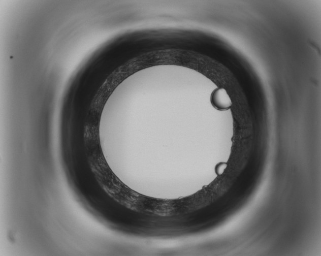 X0000103930143200809191133