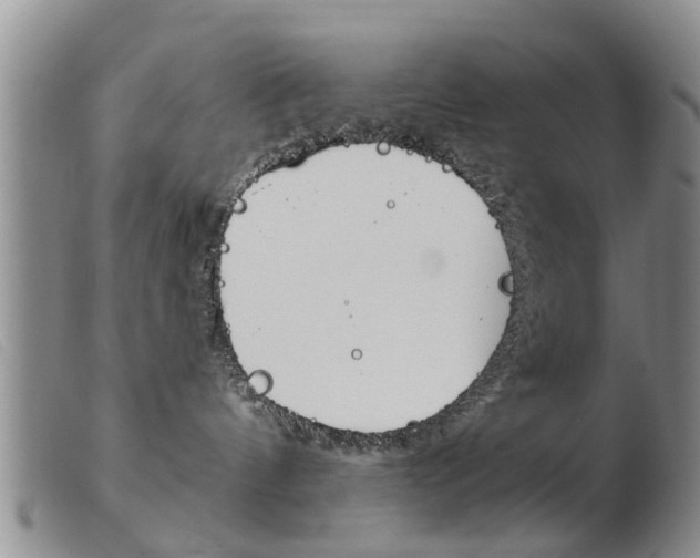X0000103930144200809191133
