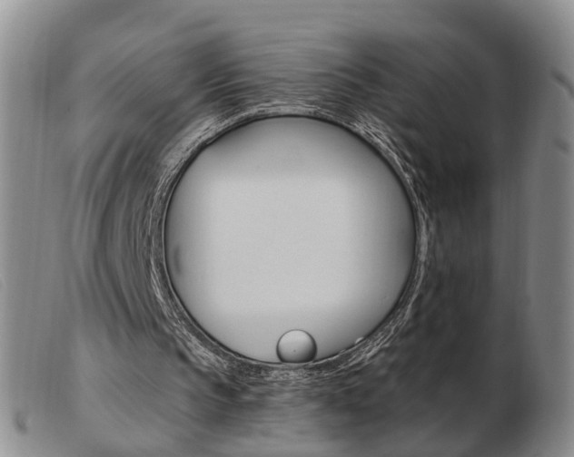 X0000103930145200809191132