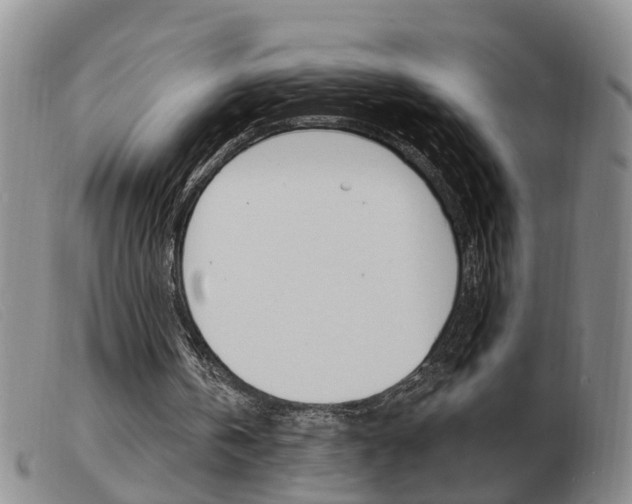 X0000103930146200809191132