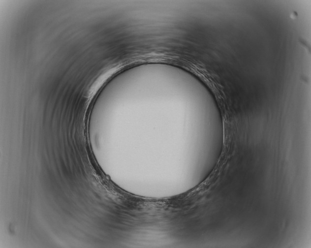 X0000103930147200809191132