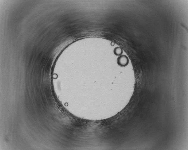 X0000103930148200809191132