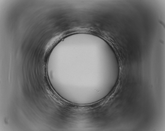 X0000103930149200809191132