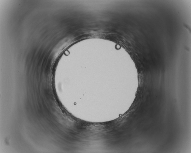 X0000103930150200809191132