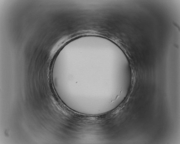X0000103930151200809191132