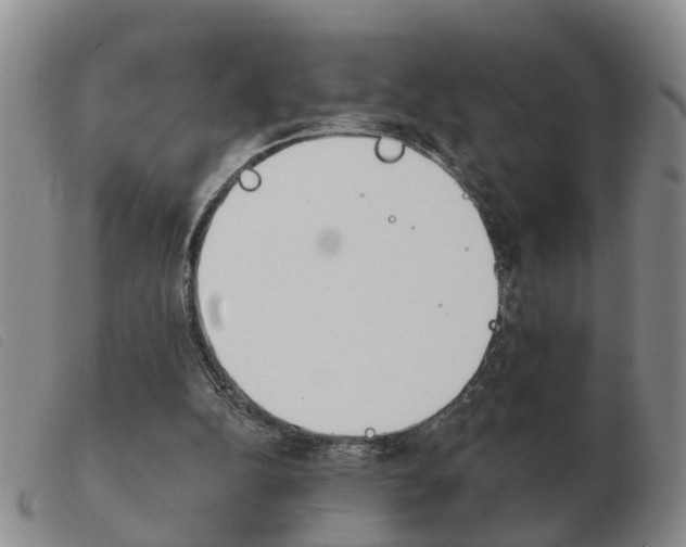 X0000103930152200809191132