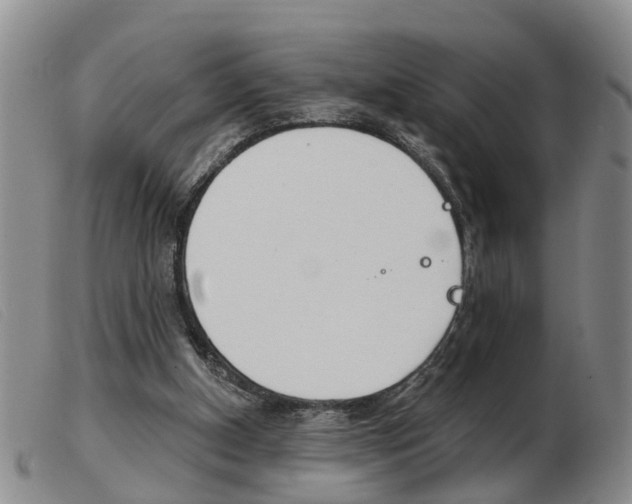 X0000103930154200809191132