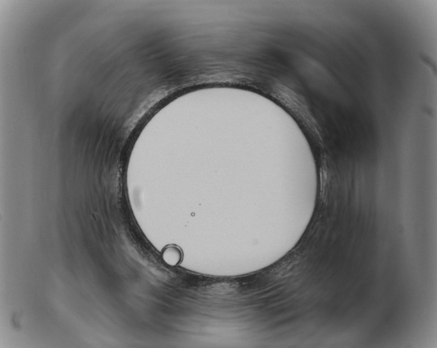 X0000103930156200809191132