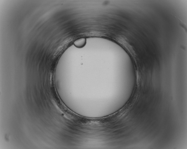 X0000103930157200809191132