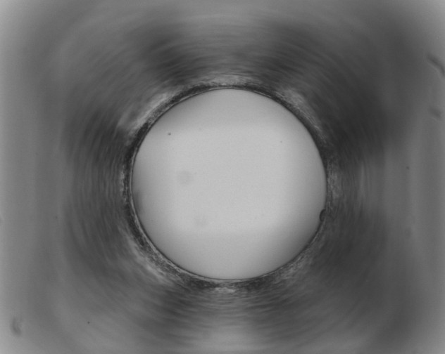X0000103930159200809191132