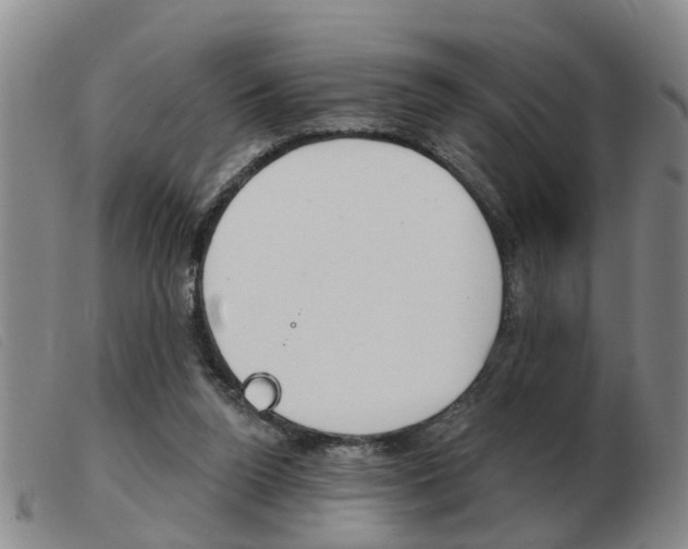 X0000103930160200809191132