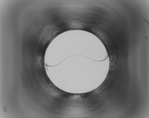 X0000103930162200809191132