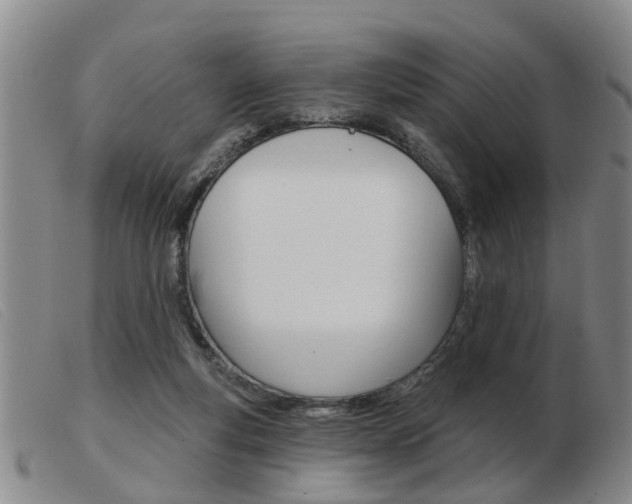 X0000103930163200809191132