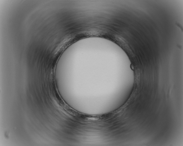 X0000103930167200809191132