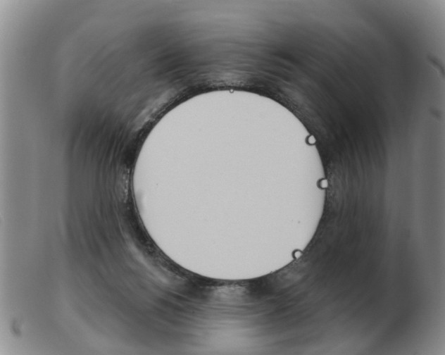 X0000103930168200809191132