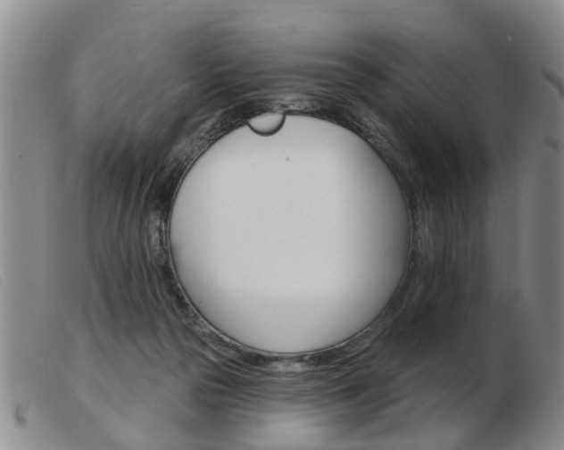 X0000103930169200809191132