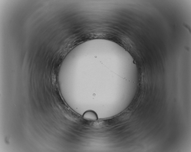 X0000103930173200809191132