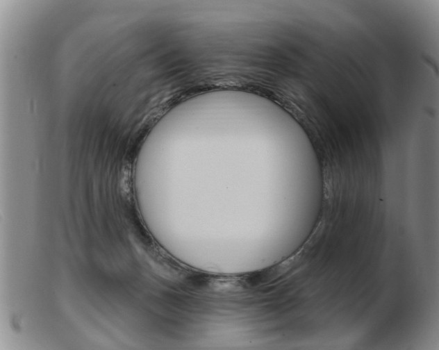 X0000103930175200809191132