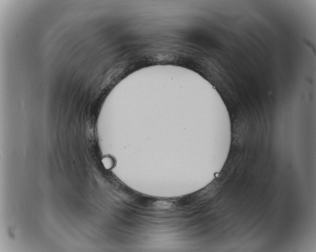 X0000103930176200809191132