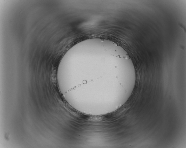 X0000103930181200809191133