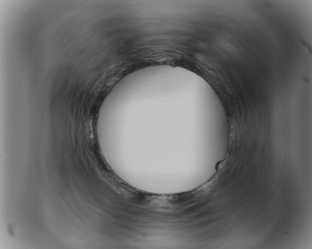 X0000103930182200809191133