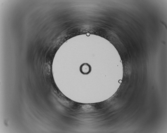 X0000103930183200809191133