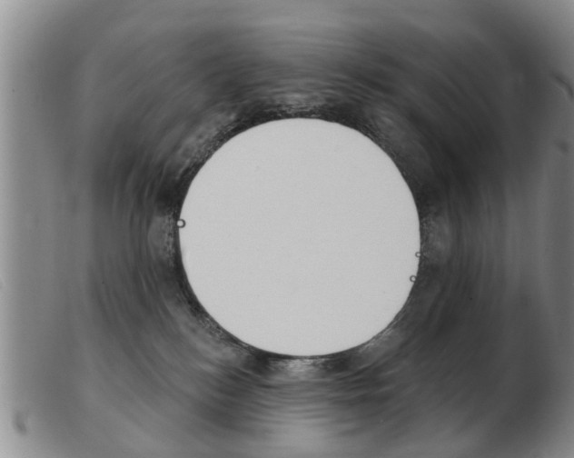 X0000103930184200809191133