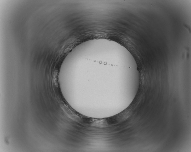 X0000103930185200809191133