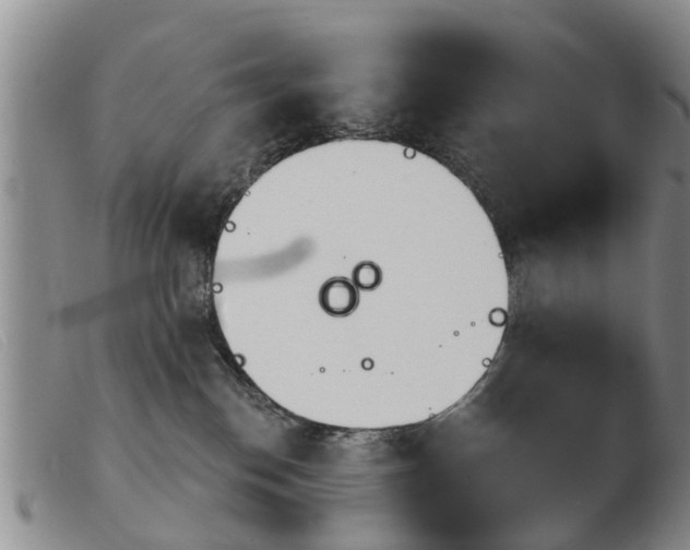X0000103930186200809191133