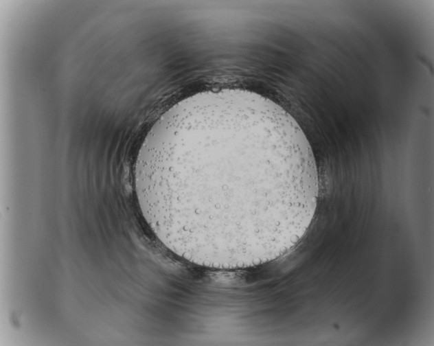 X0000103930187200809191133