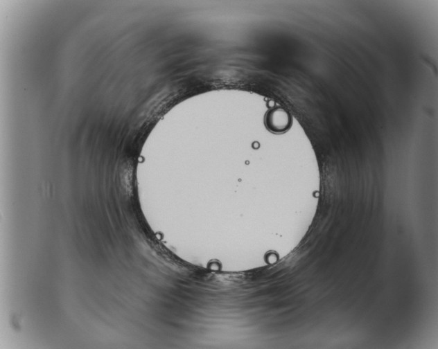 X0000103930188200809191133