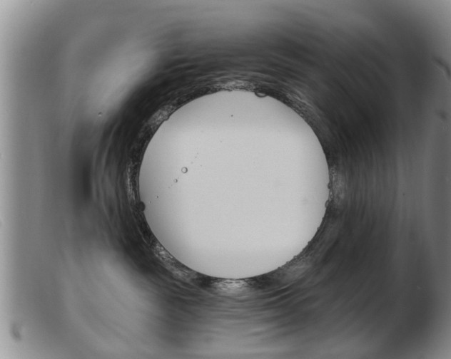 X0000103930189200809191133