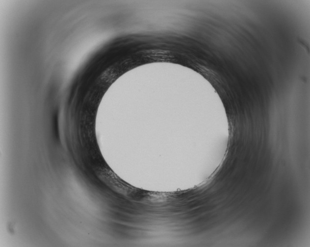 X0000103930190200809191133