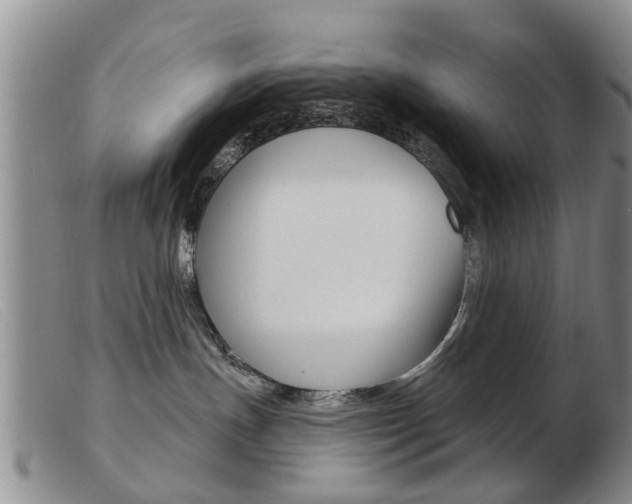 X0000103930191200809191133