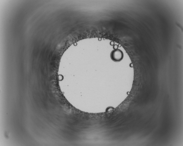 X0000103930192200809191133
