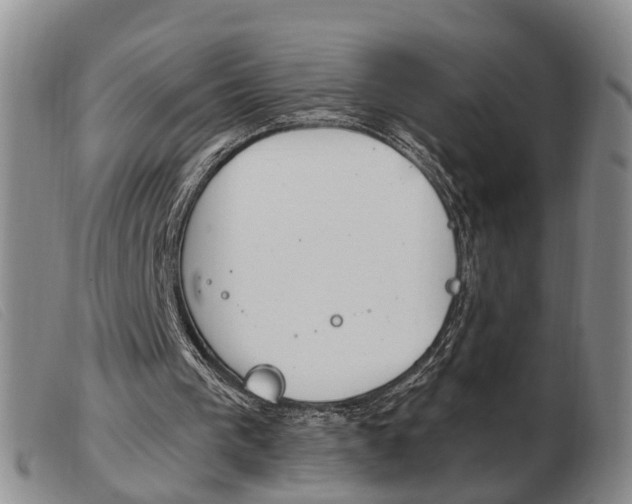 X0000103930193200809191132
