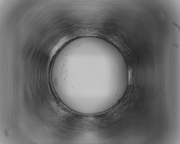 X0000103930195200809191132