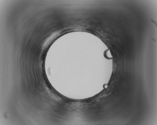 X0000103930197200809191132