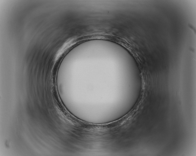 X0000103930198200809191132