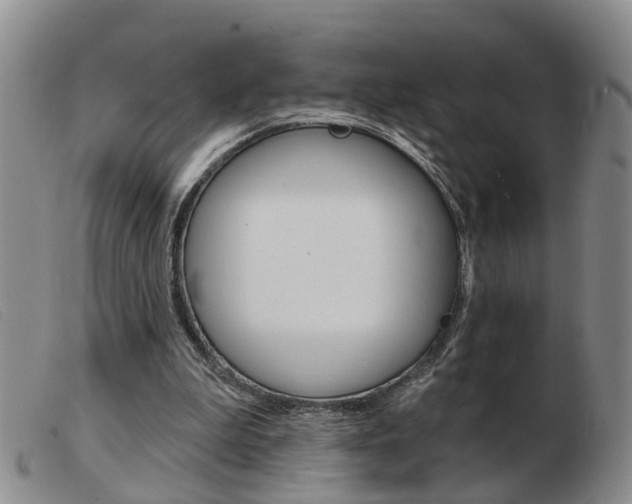 X0000103930199200809191132