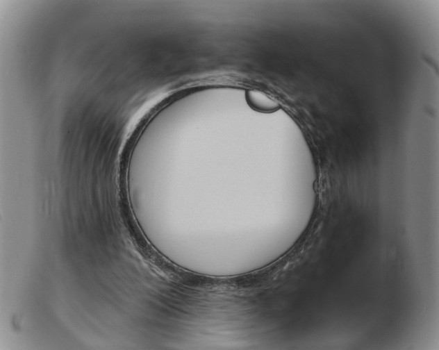 X0000103930200200809191132