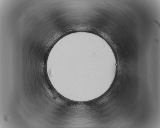 X0000103930201200809191132