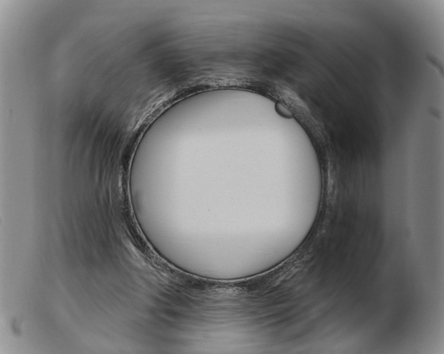 X0000103930202200809191132