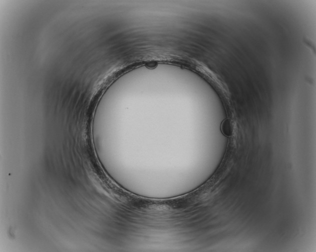 X0000103930203200809191132