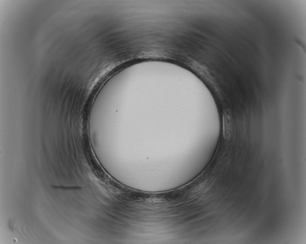 X0000103930204200809191132