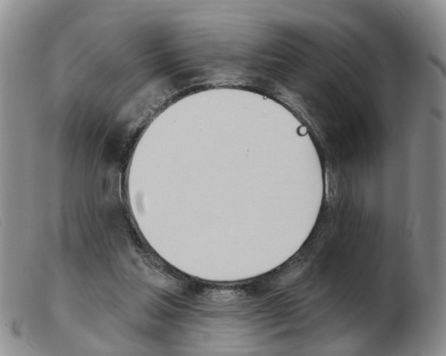 X0000103930205200809191132